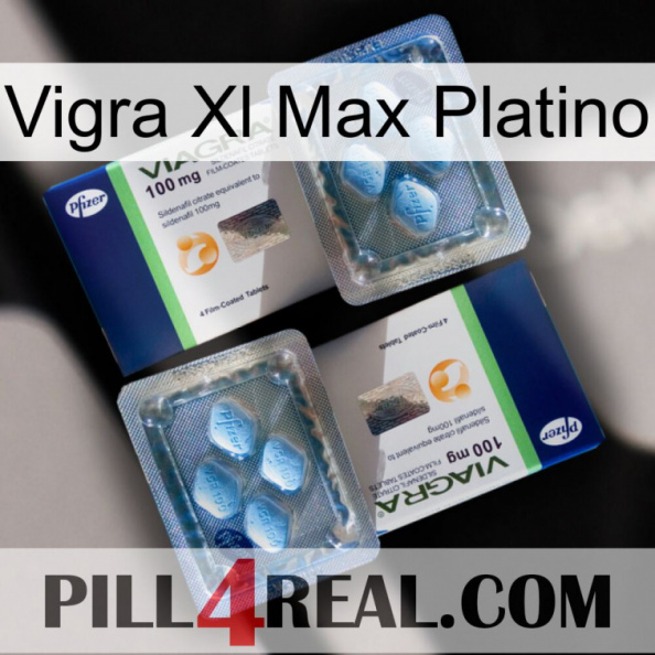 Vigra Xl Max Platinum viagra5.jpg